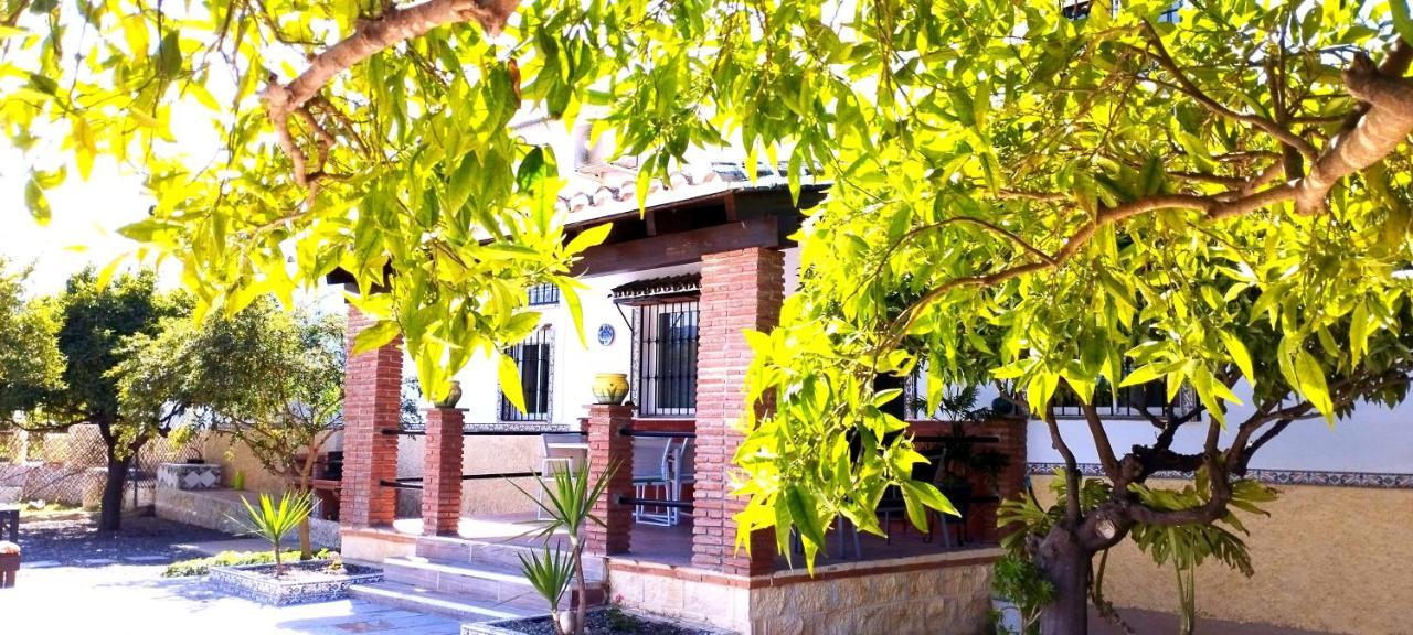 מאלגה Finca El Aulagar מראה חיצוני תמונה