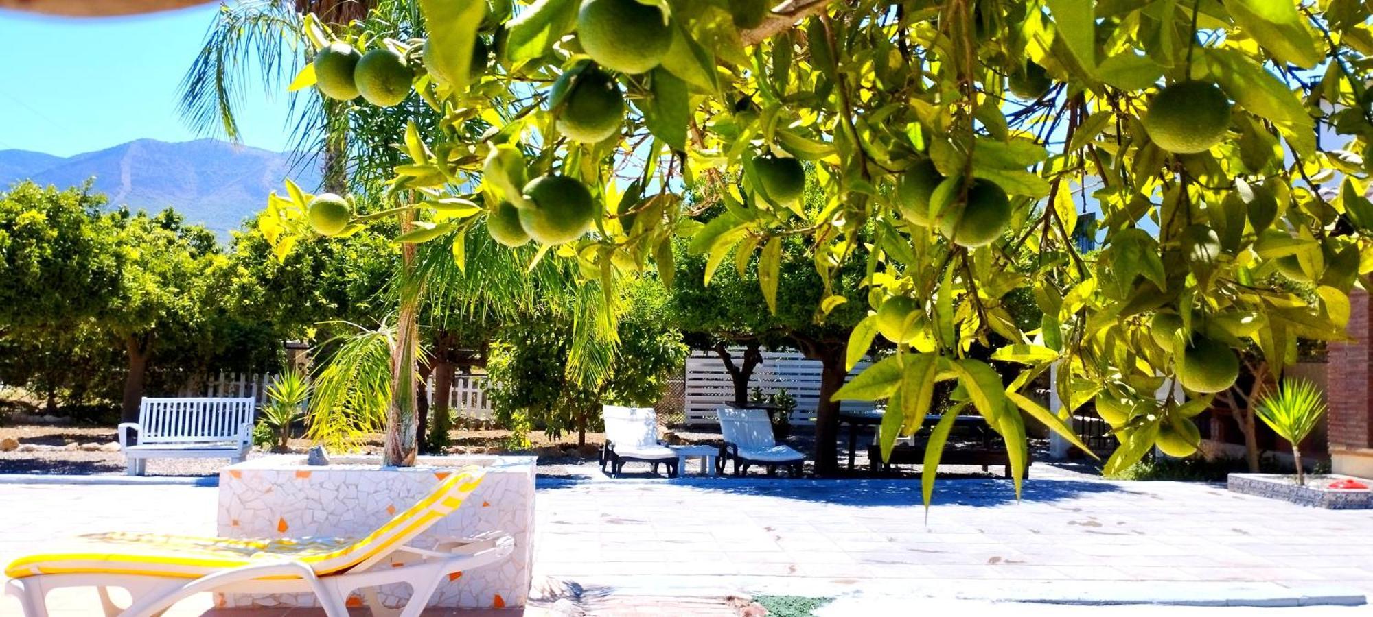 מאלגה Finca El Aulagar מראה חיצוני תמונה